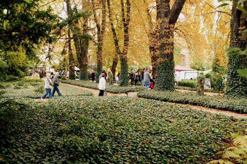 zdjęcie ludzi zwiedzających ogród