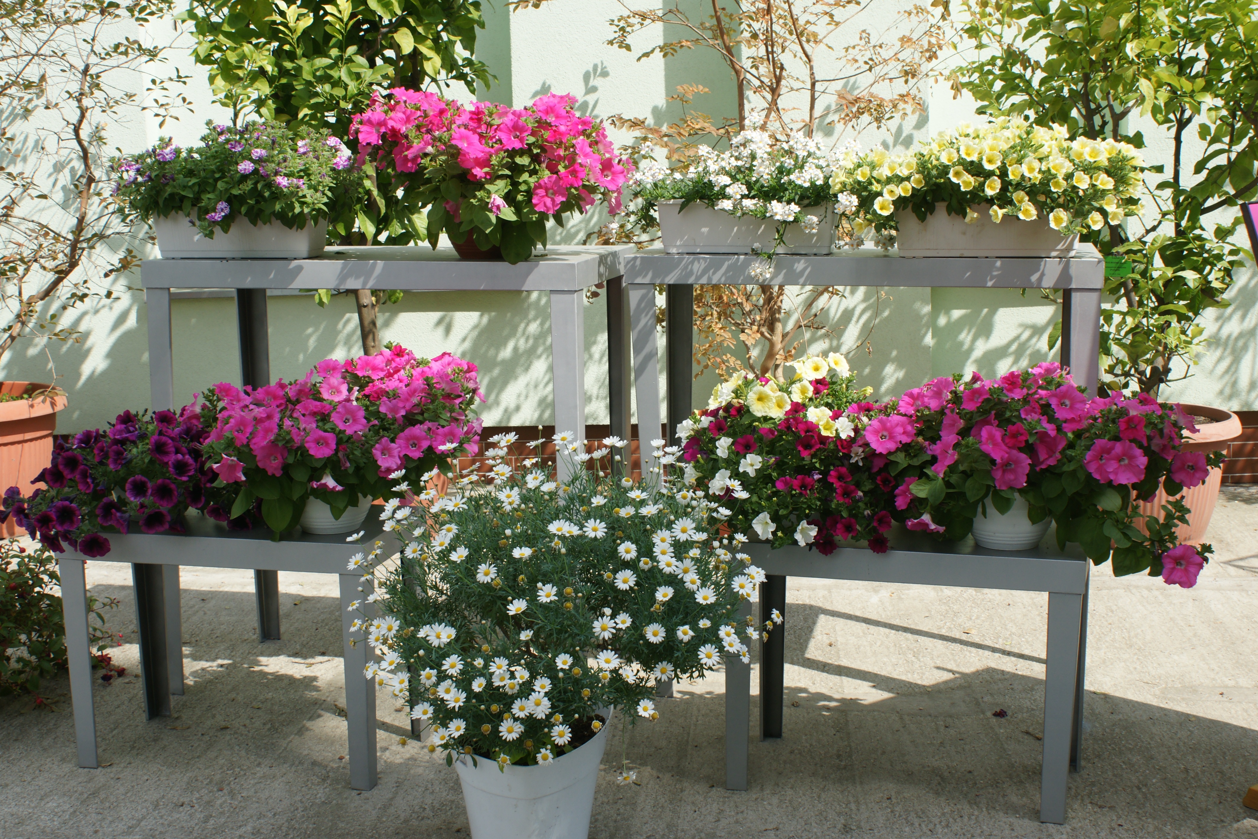 zdjęcie stoiska z kwiatami